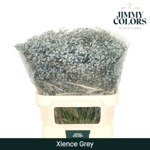 Gyps Xlence L80 Grey