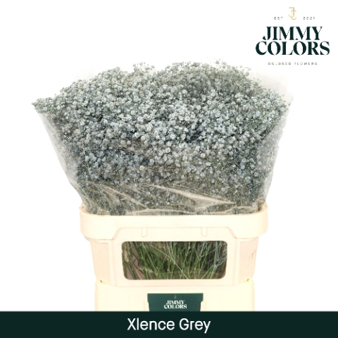 <h4>Gyps Xlence L80 Grey</h4>