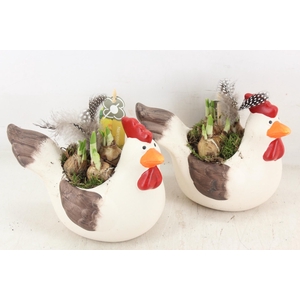 arr4 Narcis PL - Keramiek kip 999/6