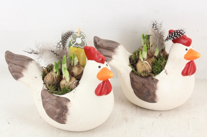 <h4>arr4 Narcis PL - Keramiek kip 999/6</h4>