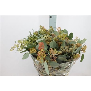 Euca Populus Bes Super 400 Gram