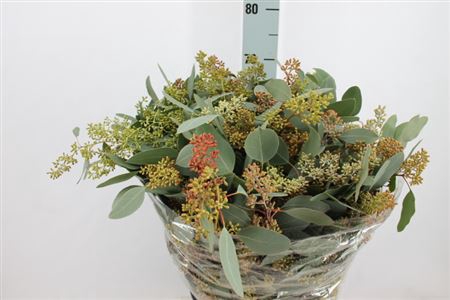 <h4>Euca Populus Bes Super 400 Gram</h4>
