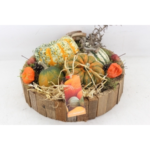 arr4 Sierfruit MB - Hout latjes bruin XL