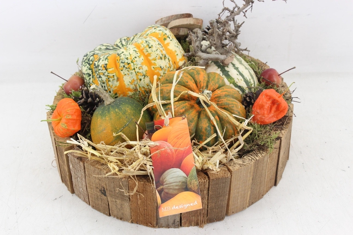<h4>arr4 Sierfruit MB - Hout latjes bruin XL</h4>
