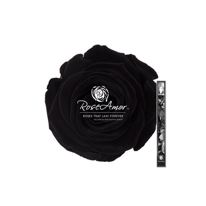 <h4>60cm Stem Bla01</h4>