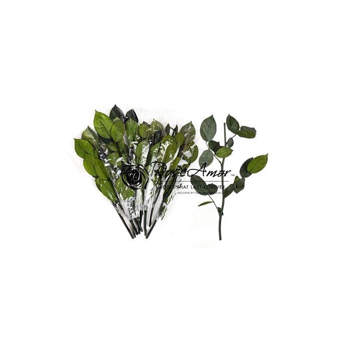 <h4>30cm Stem Without Head</h4>