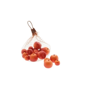 Apple Malus 3 Size 20Pcs