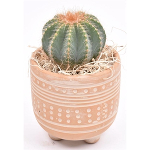 Cement met motief op pootjes 9cm