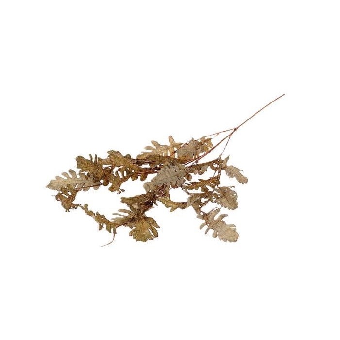 <h4>Branch Leaf Persian L105</h4>