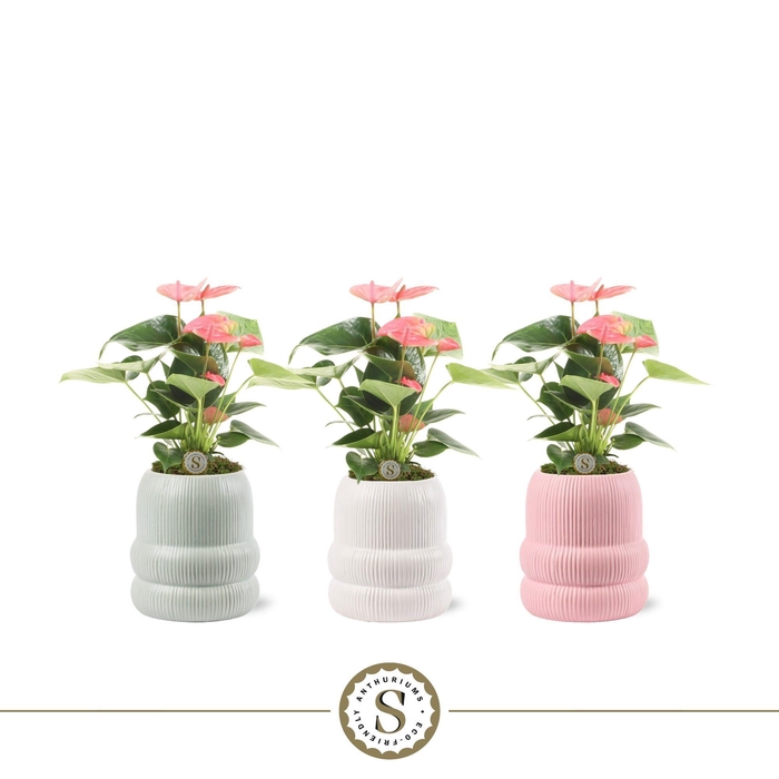 <h4>Helsinki Keramiek Pink</h4>