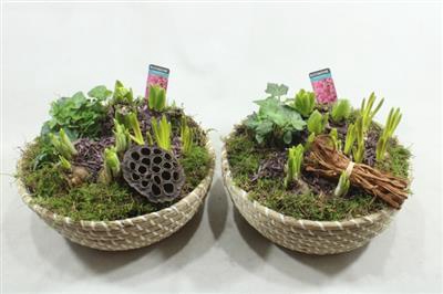 <h4>1201 Mand Streep Bm</h4>