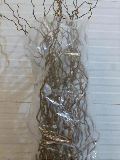 <h4>Corylus Av Contorta</h4>