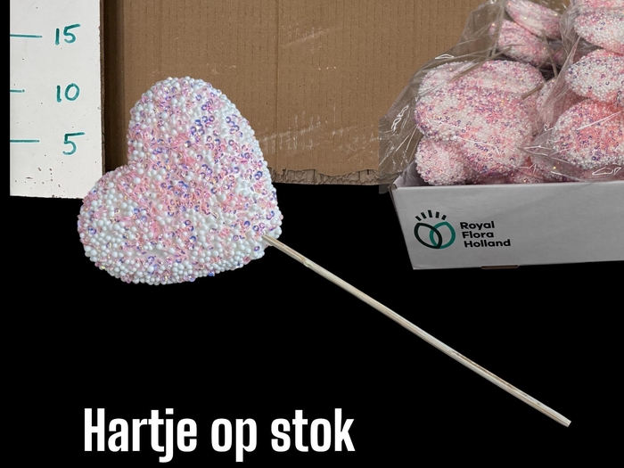 <h4>HARTJE OP STOK H%</h4>