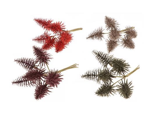 Bunch Tree Nobilis Pick 6pcs