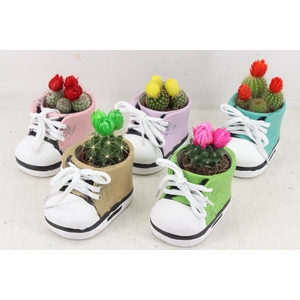 arr3 UB - Ker. schoen kl. mix x10