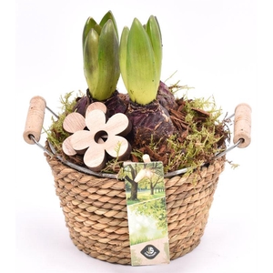 Touw met zink schaal 15cm