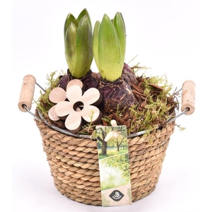 Touw met zink schaal 15cm