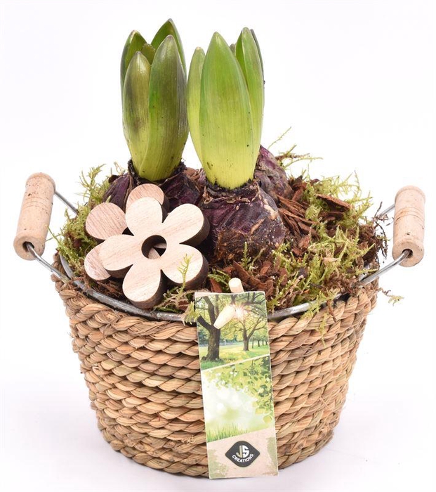 <h4>Touw met zink schaal 15cm</h4>