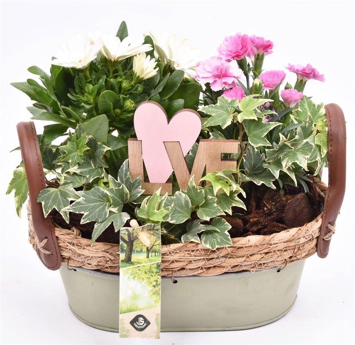 <h4>Zink ovaal groen met jute 25x15cm</h4>