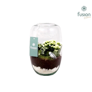 Green Bottle Isabella white met kalanchoe