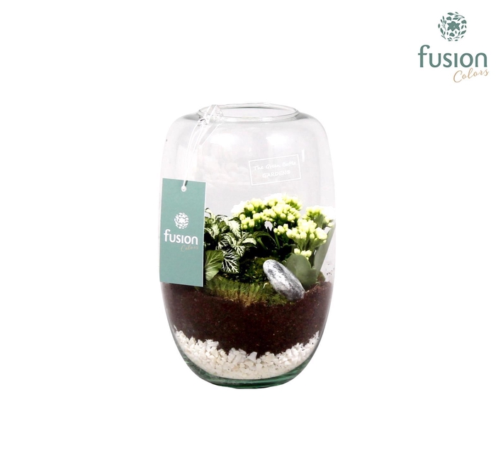 <h4>Green Bottle Isabella white met kalanchoe</h4>