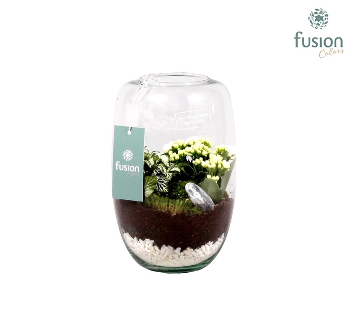 <h4>Green Bottle Isabella white met kalanchoe</h4>