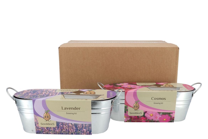 <h4>Greengift Lavender Cosmos Mix Zinc 10x28x10cm</h4>