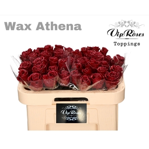 R GR WAX BORDEAUX (ATHENA) x40 (50cm)