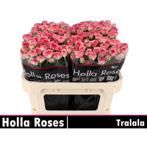 R Tr Tralala