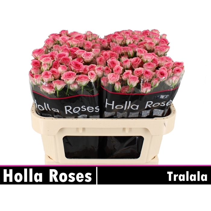 <h4>Tralala</h4>