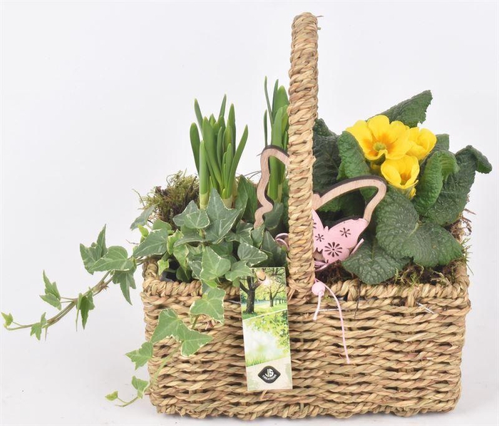 <h4>Touw hengselmand 21x12.5CM</h4>