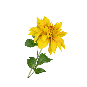 Dahlia Yellow  75 cm