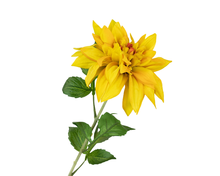 <h4>Dahlia Yellow  75 cm</h4>