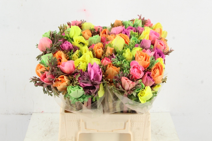 <h4>ANEMONE MISTRAL TALC MIX</h4>