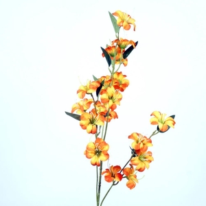 AF Blossom Meadow L87cm orange