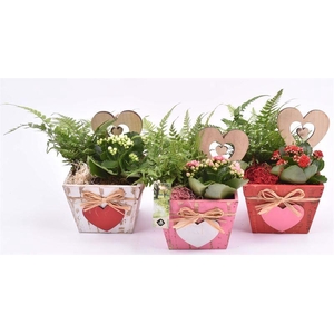 Hout vierkant hart decor mix 15x15