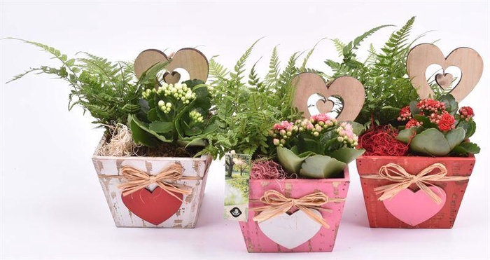 <h4>Hout vierkant hart decor mix 15x15</h4>