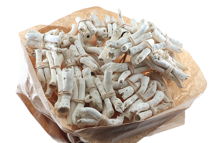 <h4>Wildbot On Stick</h4>