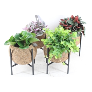 arr3 Kokoplant - Industrial groenmix 8X