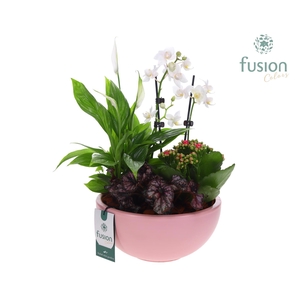 Schaal keramiek Moon Large roze mat Arrangement