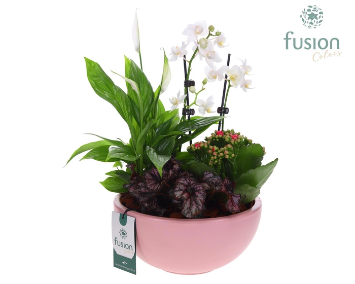 <h4>Schaal keramiek Moon Large roze mat Arrangement</h4>