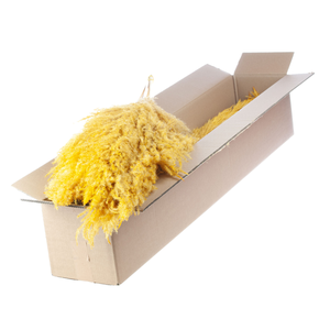 Pampasgras 115cm 5pc Bunch Sb Yellow