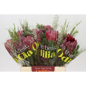 BQ Protea Sharon SFB