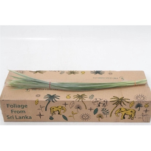 T- Grass Bont (p. Bos)