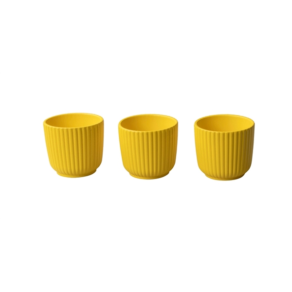 <h4>L 958 Yellow 6 cm</h4>