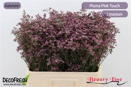 Lim Piuma Pink Touch