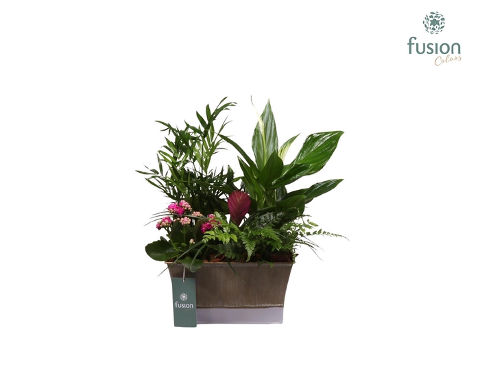 <h4>Zinken pot vierkant met arrangement</h4>