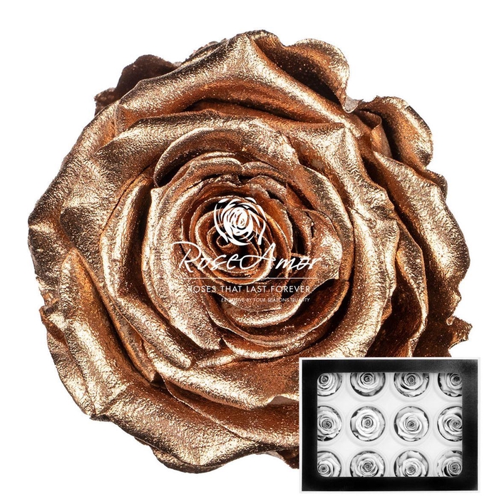 <h4>S Metallic Gold Whi04</h4>