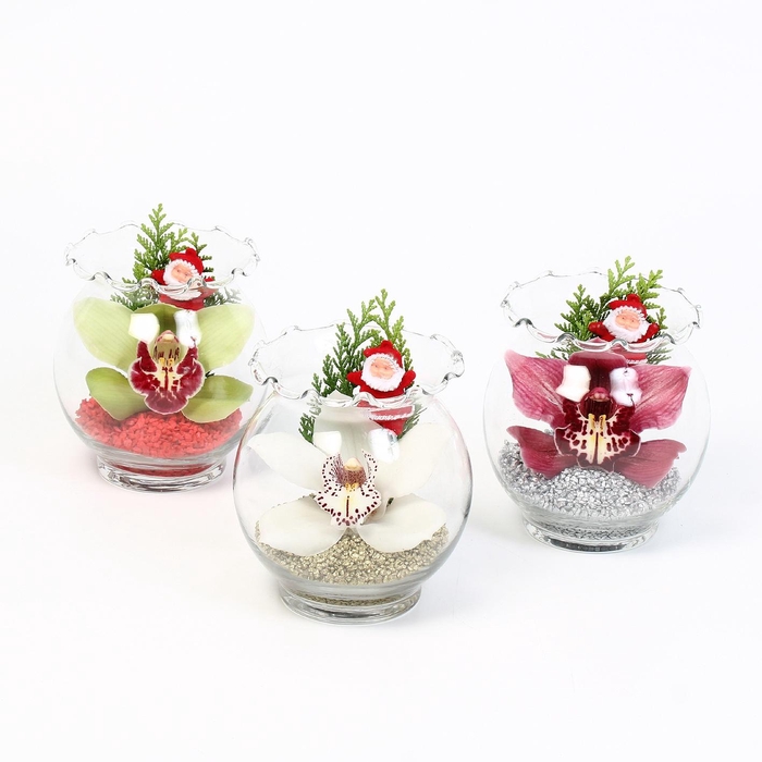 <h4>CYMB VERPAKT P BLOEM 2875</h4>