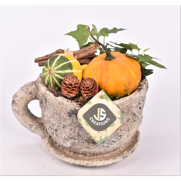 <h4>Arrangementen Sierfruit</h4>